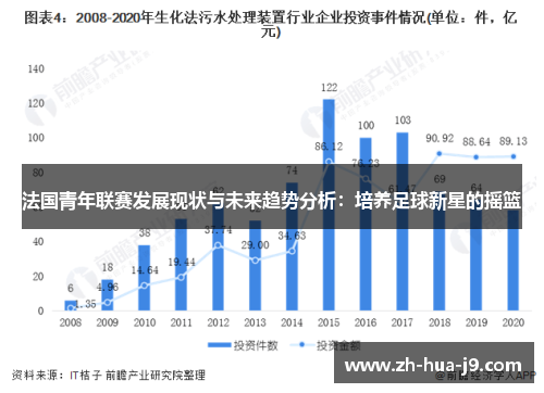 法国青年联赛发展现状与未来趋势分析：培养足球新星的摇篮